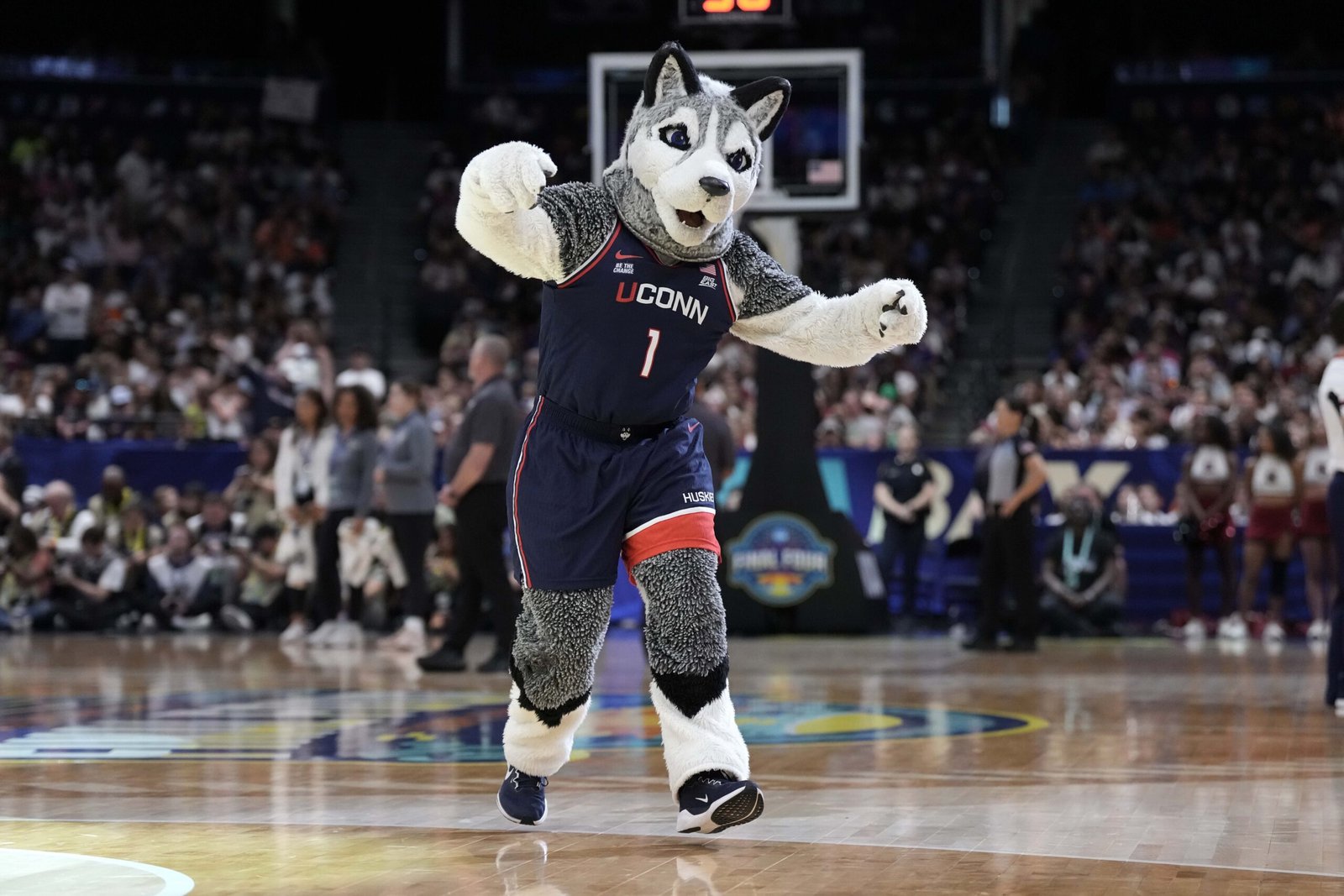 Apr 6, 2025; Tampa, FL, USA; UConn Huskies mascot Jonathan the Husky during the national championship of the women's 2025 NCAA tournament against the South Carolina Gamecocks at Amalie Arena.